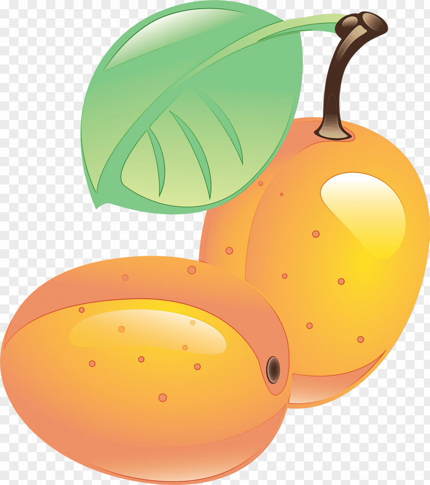 Drupe Food Orange PNG