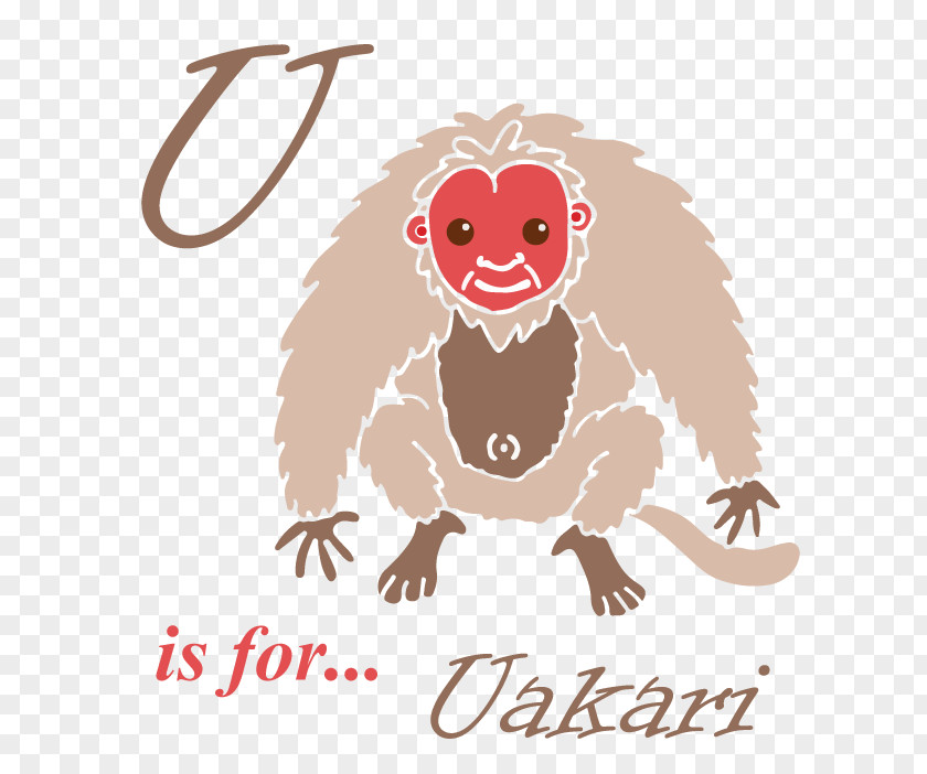 Uakari Cartoon Clip Art Carnivores Rodent Illustration Jengkol PNG