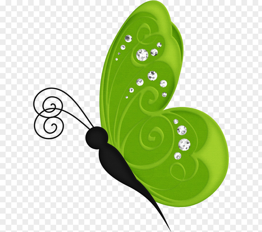 Butterfly Clip Art PNG