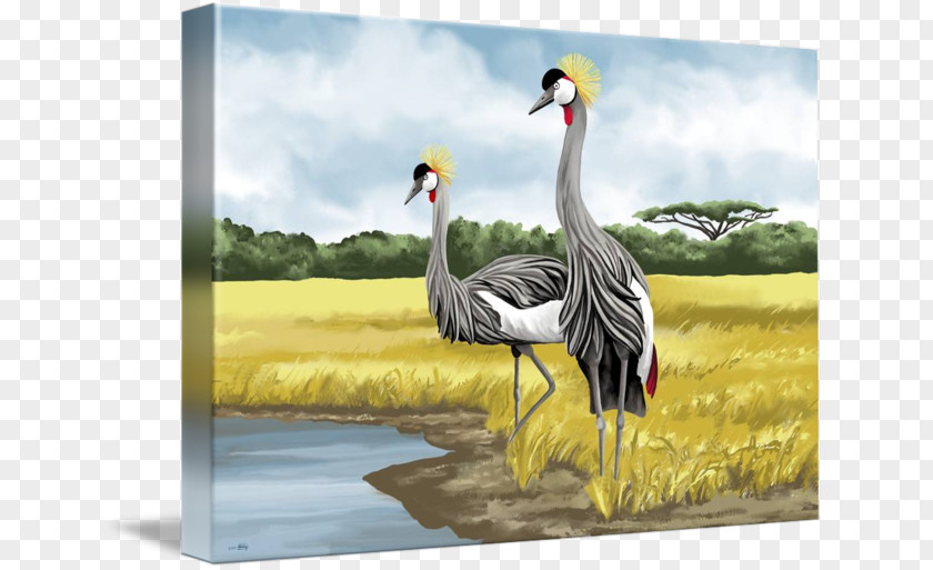 Crane Grey Crowned Bird Art Painting PNG