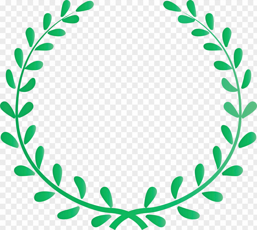 Flower Frame Floral PNG