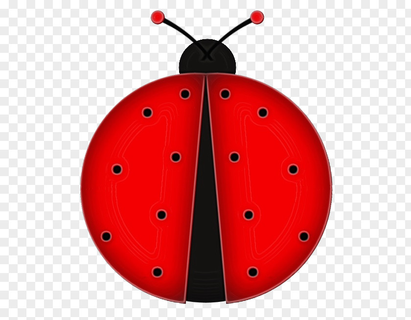 Ladybird Beetle Insect Blog Cartoon Scrapbooking PNG