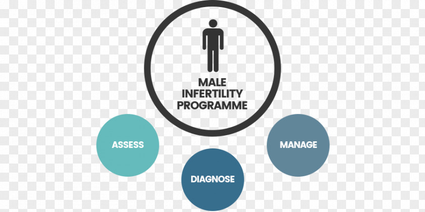 Male Infertility Fertility Clinic In Vitro Fertilisation PNG