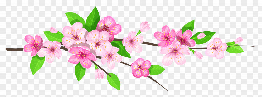 Pink Spring Branch Image Clip Art PNG