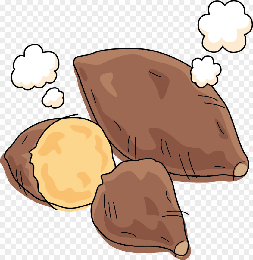 Sweet Potato Sketch Cartoon PNG