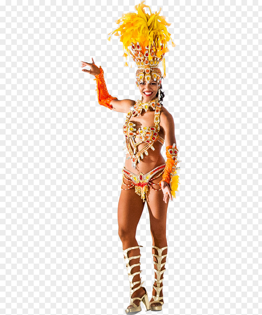 Carnival Samba: The Making Of Brazilian Dancer PNG