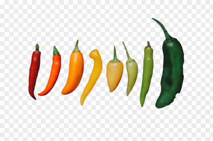 Cayenne Pepper Habanero Peppers Yellow Malagueta PNG