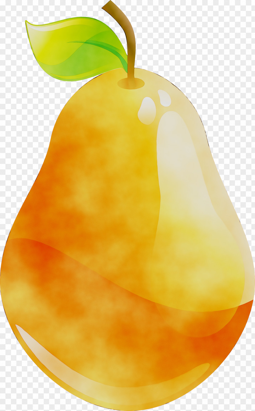 Clip Art Pear Fruit Image PNG