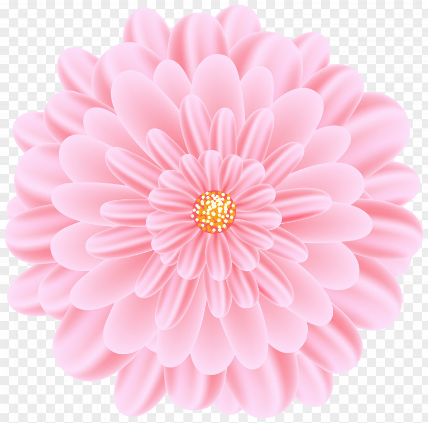 Flower Album Clip Art Stock Photography Vector Graphics Image Illustration PNG