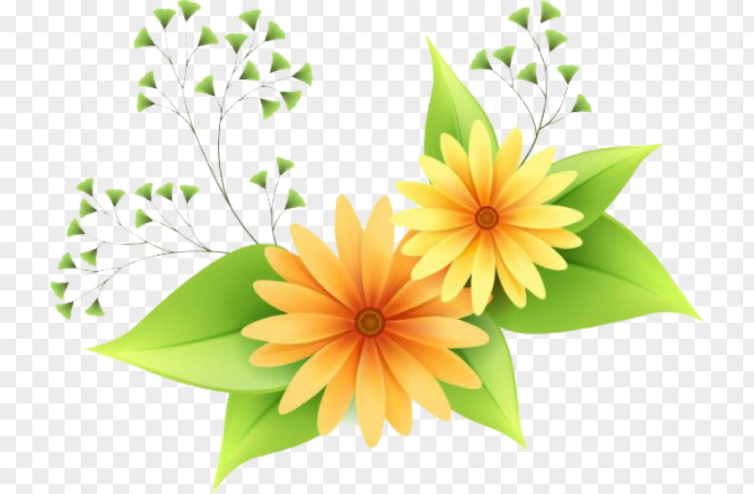 Flower Clip Art PNG