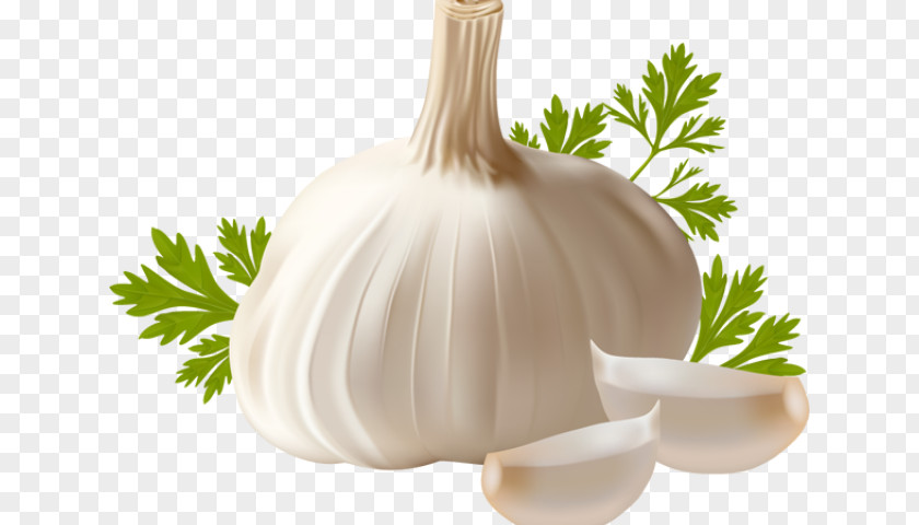 Garlic Bulbs Clip Art Openclipart Image PNG