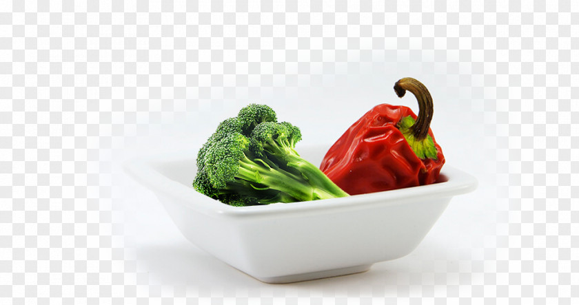 Menu Chili Pepper Cafe Restaurant Food Dish PNG