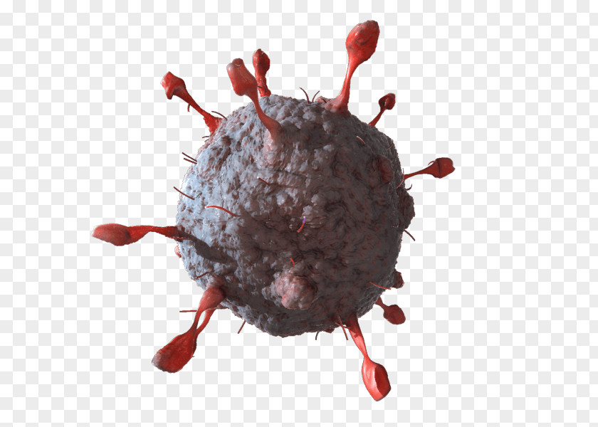 Planar Virus Cell Bodies Wavefront .obj File 3D Modeling Computer Graphics Chickenpox PNG