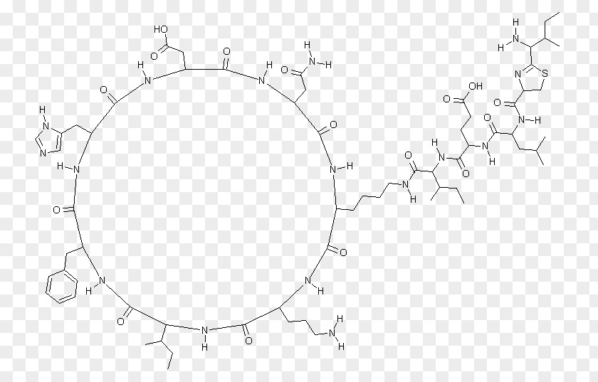 Bacitracin Antibiotics Hay Bacillus Pharmaceutical Drug PNG