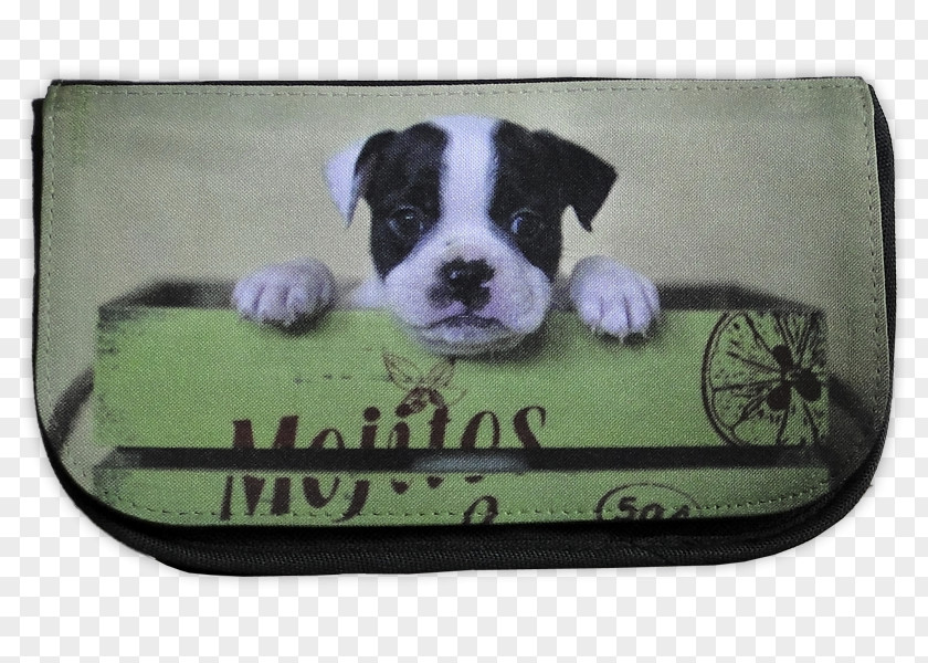 Mojito Boston Terrier Shorty Bull Dog Breed Non-sporting Group MINI Cooper PNG