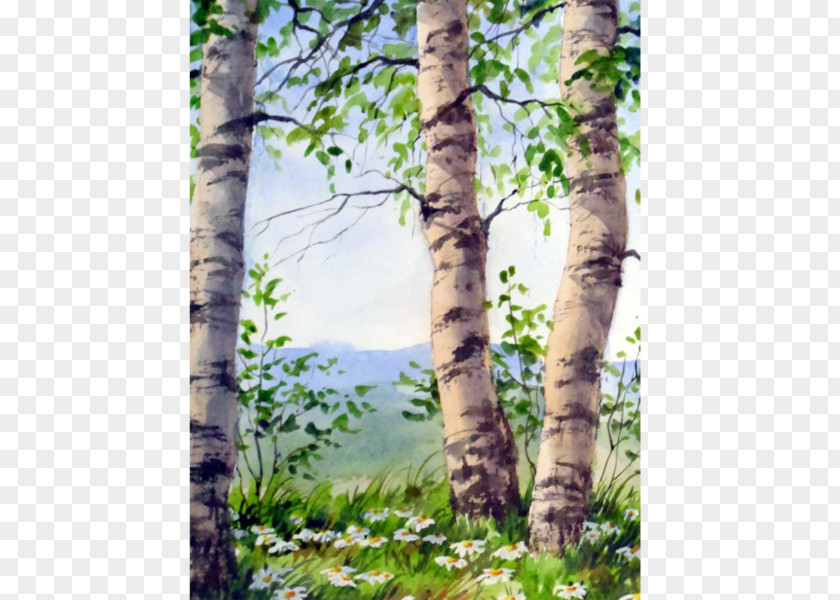 Painting Birch The Starry Night Watercolor Oil Paint PNG