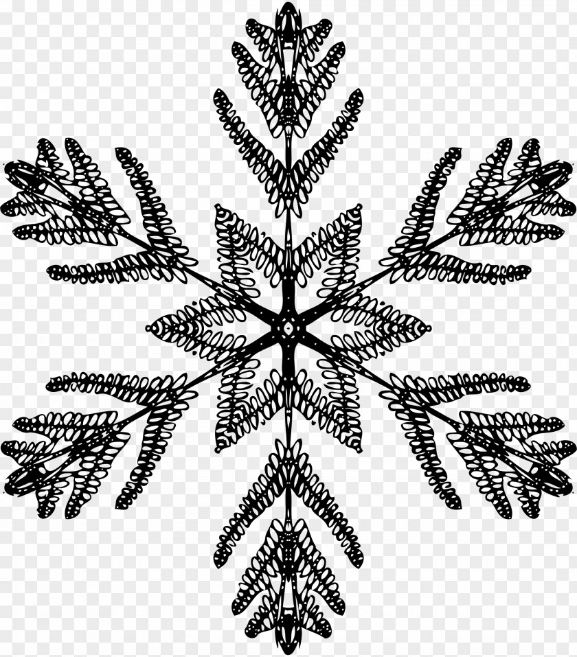 Snowflake Black And White Crystallization Symmetry PNG