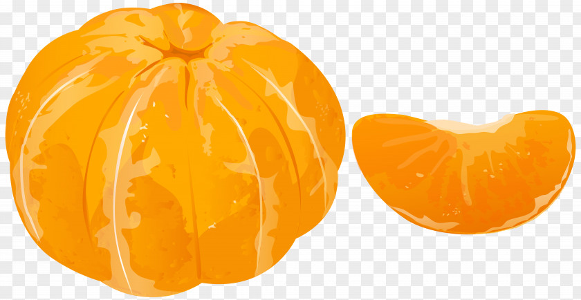 Acorn Squash Tangerine Mandarin Orange Clip Art PNG