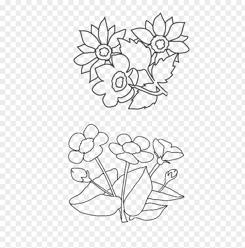 Flower Floral Design Coloring Book Bouquet Drawing PNG