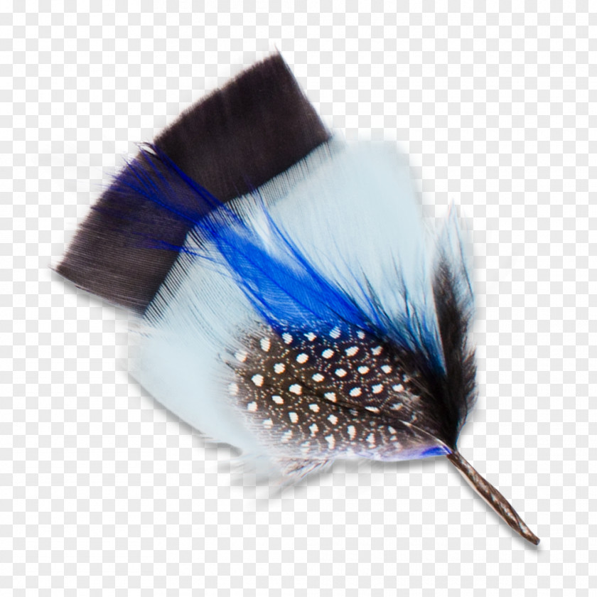 Hat Goorin Bros. Clothing Accessories United States Feather PNG