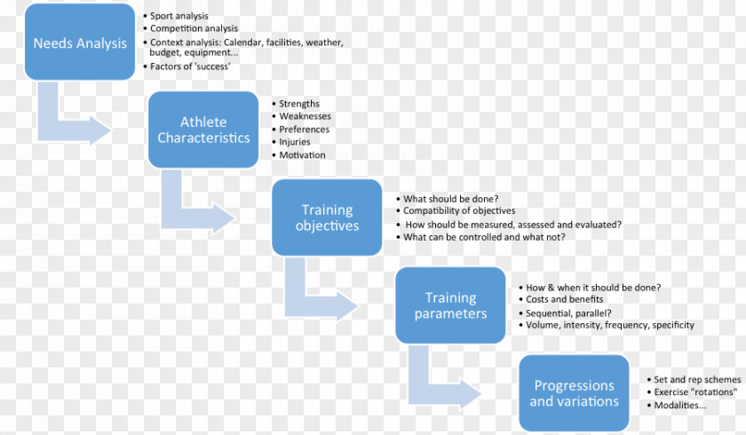 Needs Analysis Flowchart 3D Ultrasound Ultrasonography Diagram PNG