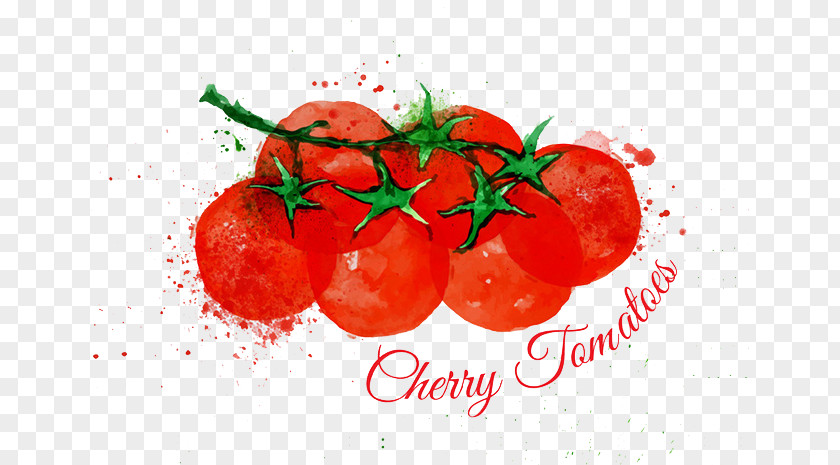 Tomato Cherry Watercolor Painting Lettuce Illustration PNG