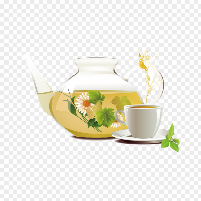 Vector Tea Chrysanthemum Euclidean PNG