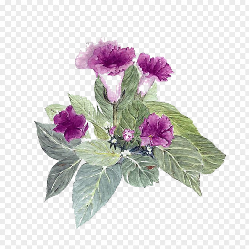 Weigela Bouquet Picture Material Floral Design Flower Download PNG