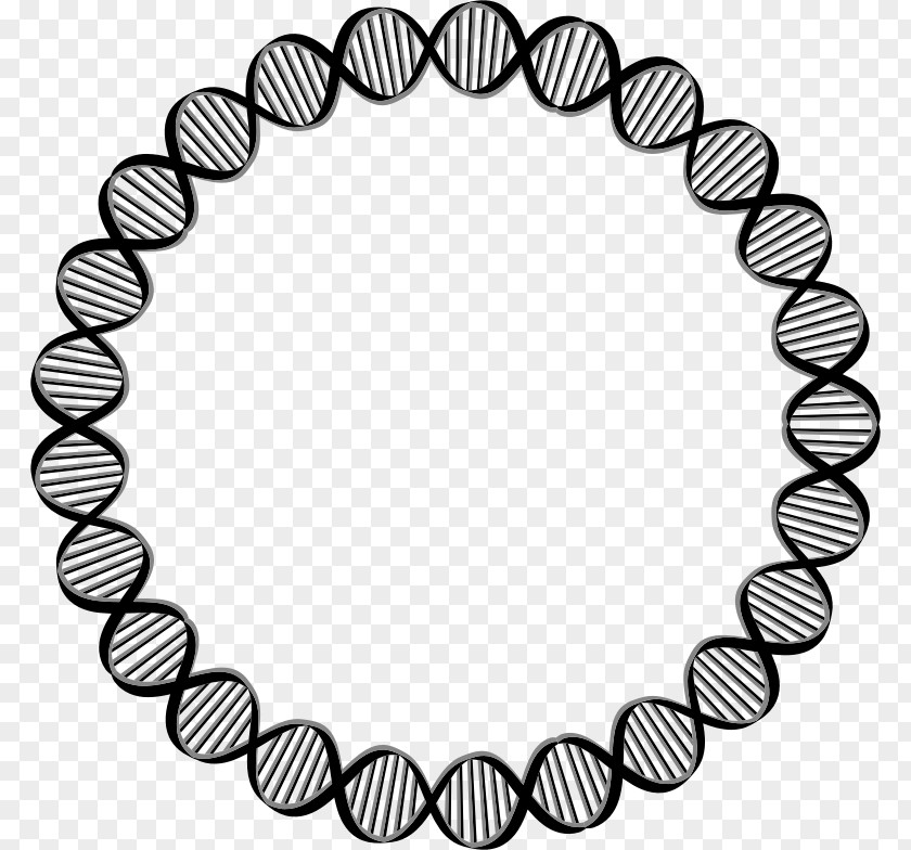 DNA Circle Gene Clip Art PNG