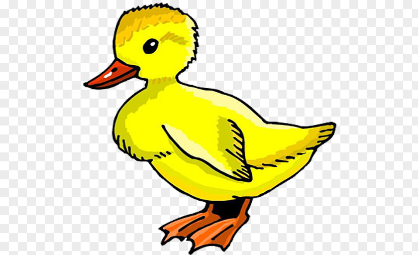 Duck Desktop Wallpaper Clip Art PNG