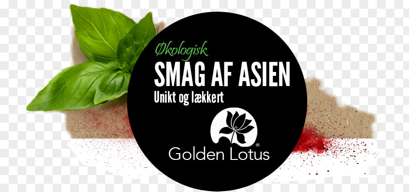 Gold Lotus Logo Brand Font PNG