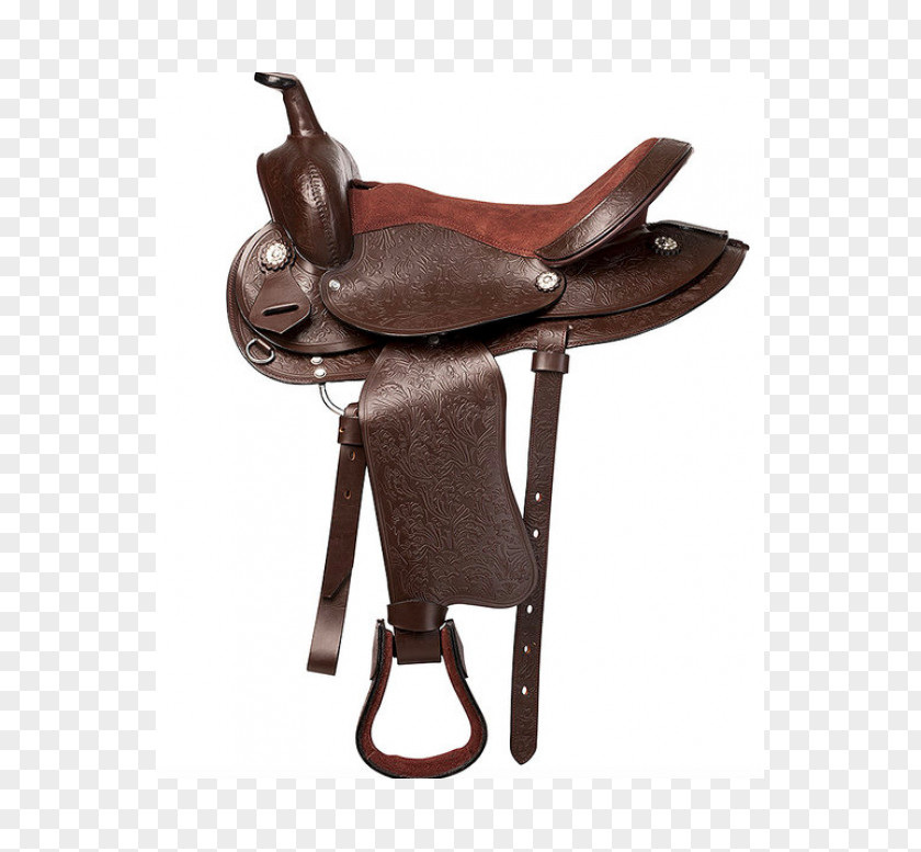 Horse Colorado Springs Saddle Equestrian Western Riding PNG