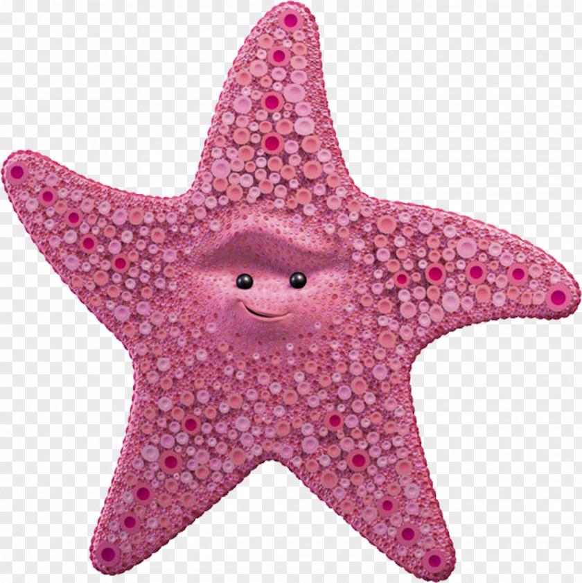 Starfish Finding Nemo Marlin Peach Character Film PNG