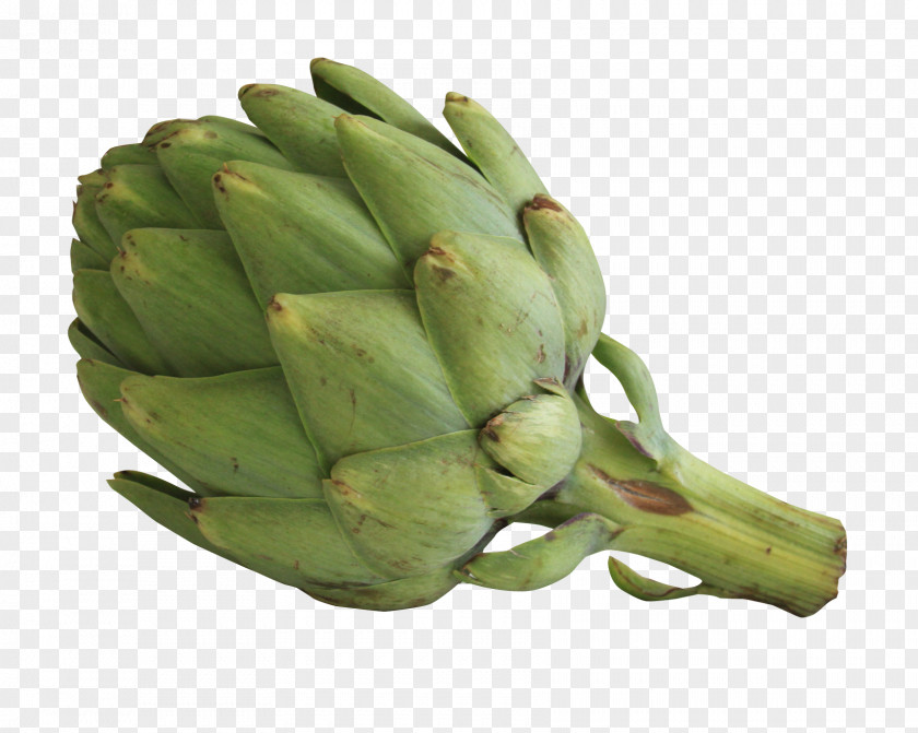 Artichoke Vegetable Food Purxe9e Fruit PNG