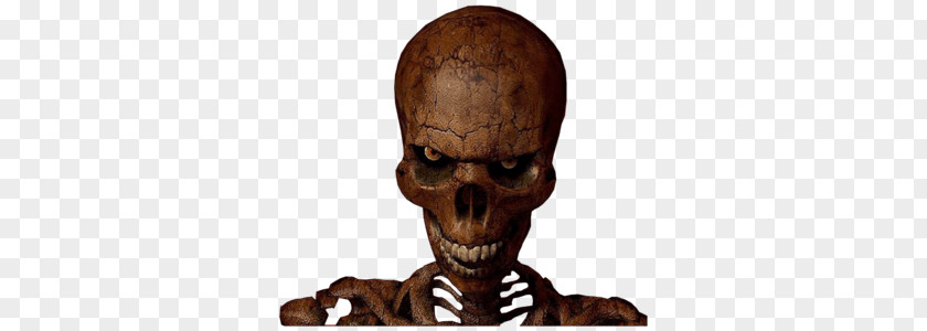 Scary Skull Halloween PNG Halloween, skeleton illustration clipart PNG