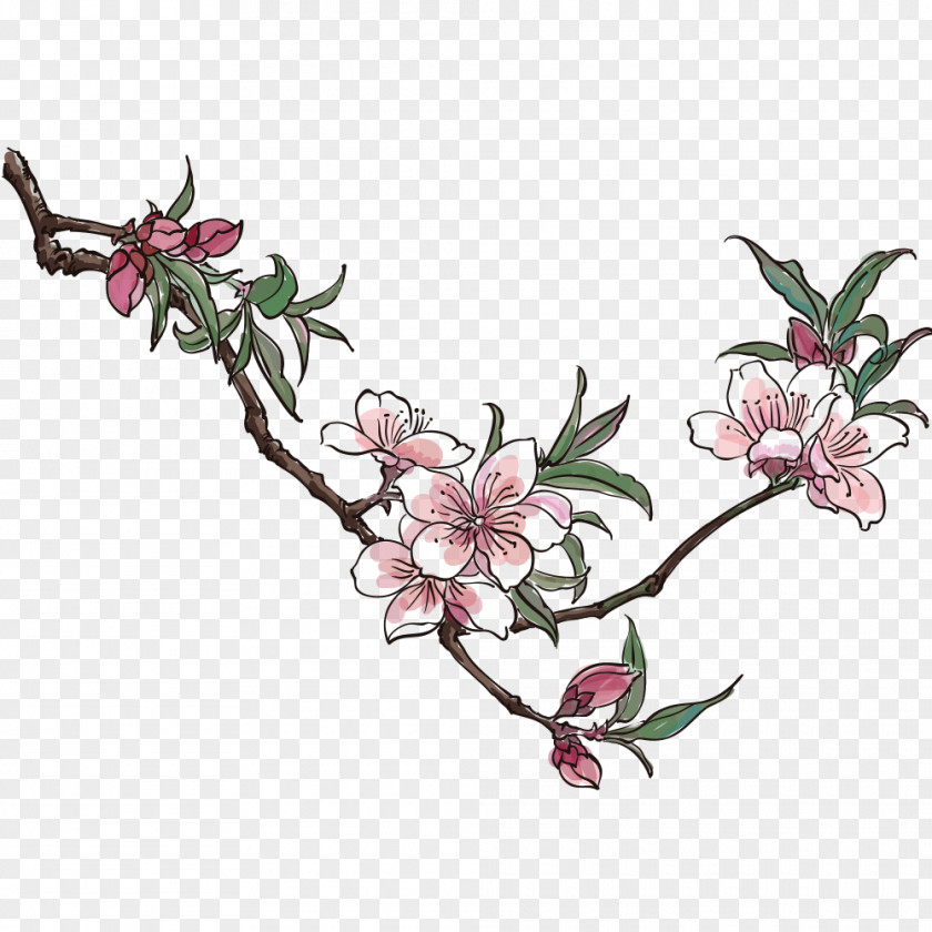 Ameixa Button Blossom Drawing Vector Graphics Peach Clip Art PNG