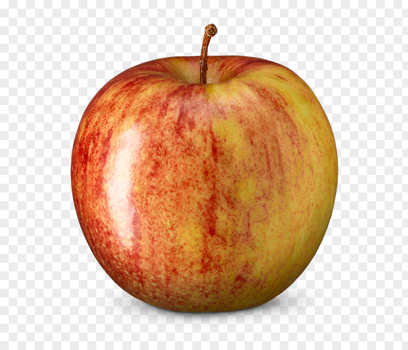 Jonagold McIntosh Red Apple Crisp Golden Delicious PNG