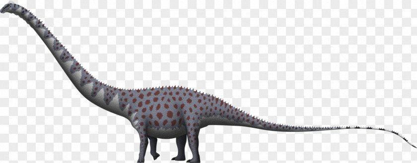 Jurassic Animals Supersaurus Apatosaurus Barosaurus Dinheirosaurus Dinosaur PNG