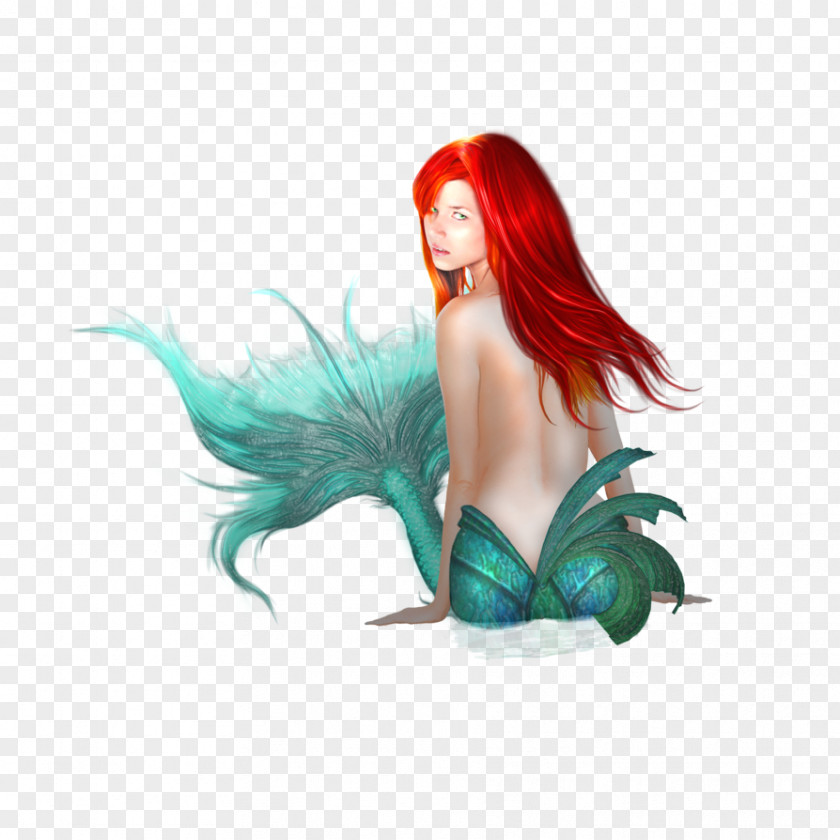 Mermaid Hd The Little Computer File PNG