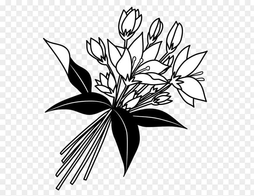 Porco Rosso Floral Design Black And White Drawing Monochrome Painting PNG