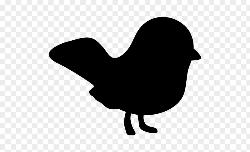 Rooster Chicken Bird Beak Clip Art PNG