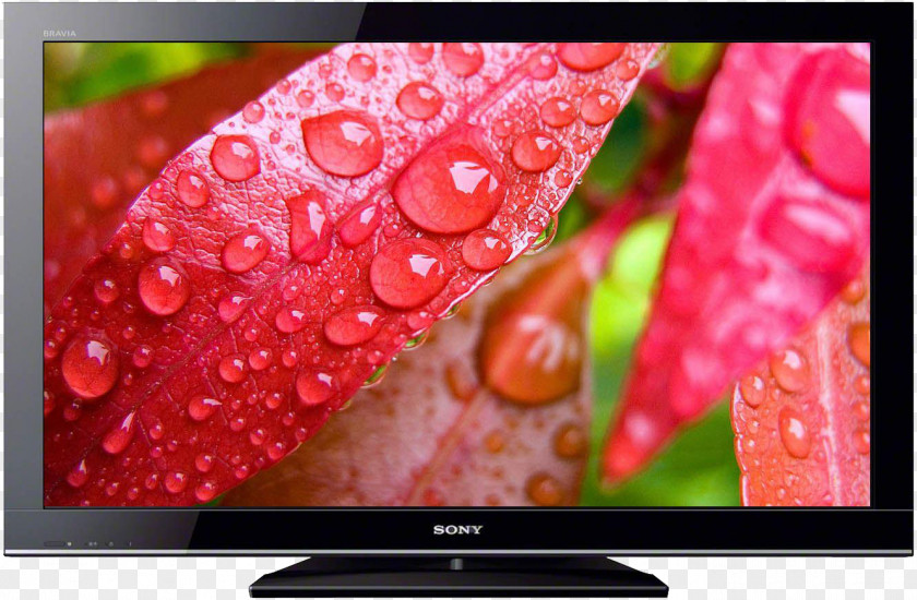 Ultra HD 4K High-definition LCD TV Screen Bubble Leaf Drop Water Wallpaper PNG