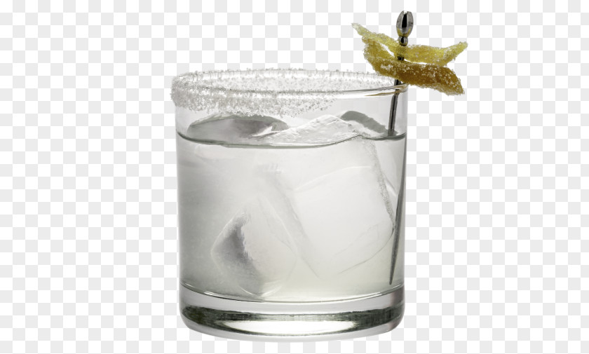 Cocktail Gin And Tonic Vodka Margarita Tequila PNG