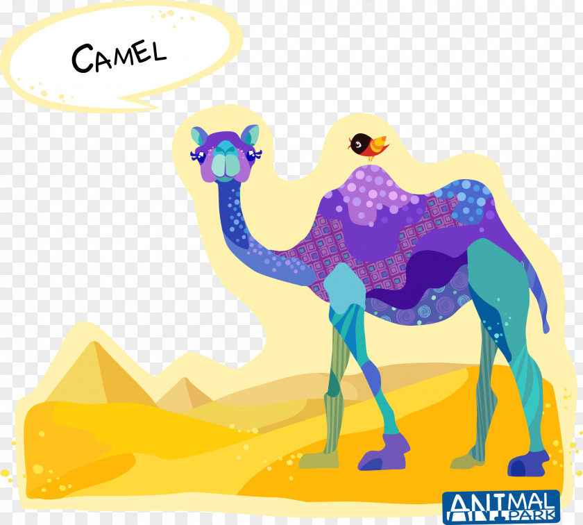 Creative Camel Vector Dromedary Bactrian Cartoon Drawing PNG