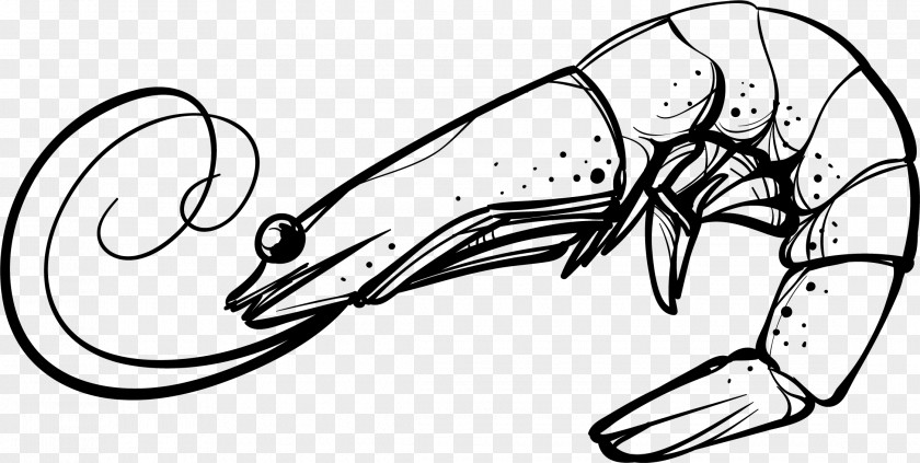 Curly Prawns Shrimp Cartoon Clip Art PNG