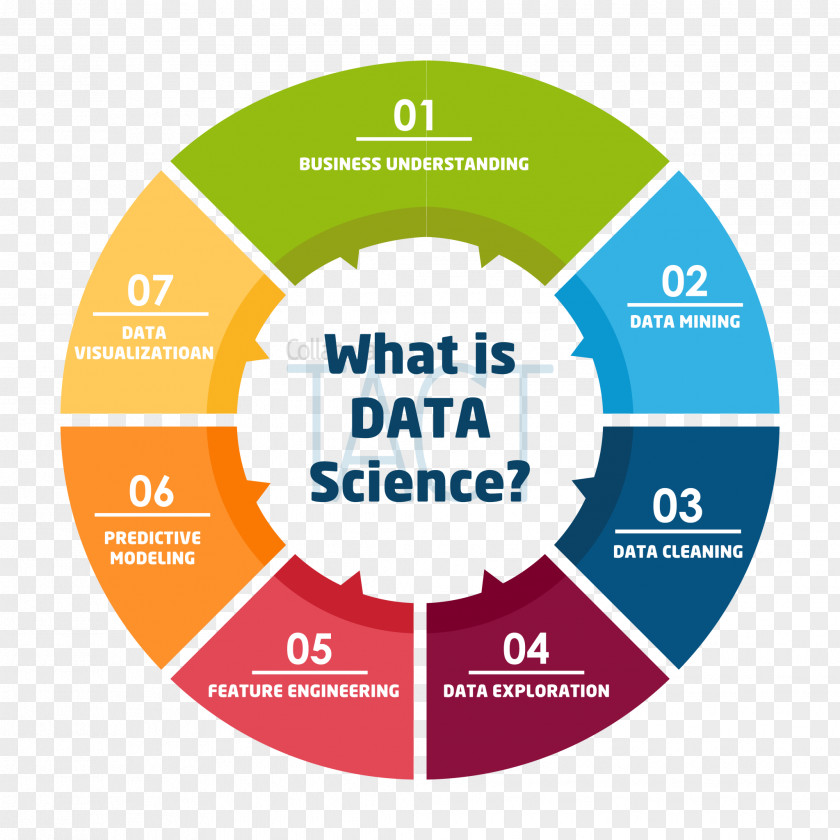 Data Science Infographic Template PNG