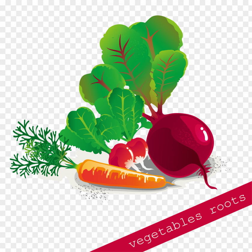 Hand-painted Vegetable Pull Free Download Carrot PNG