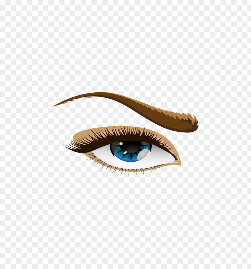 Rolls Human Eye Eyebrow Clip Art PNG