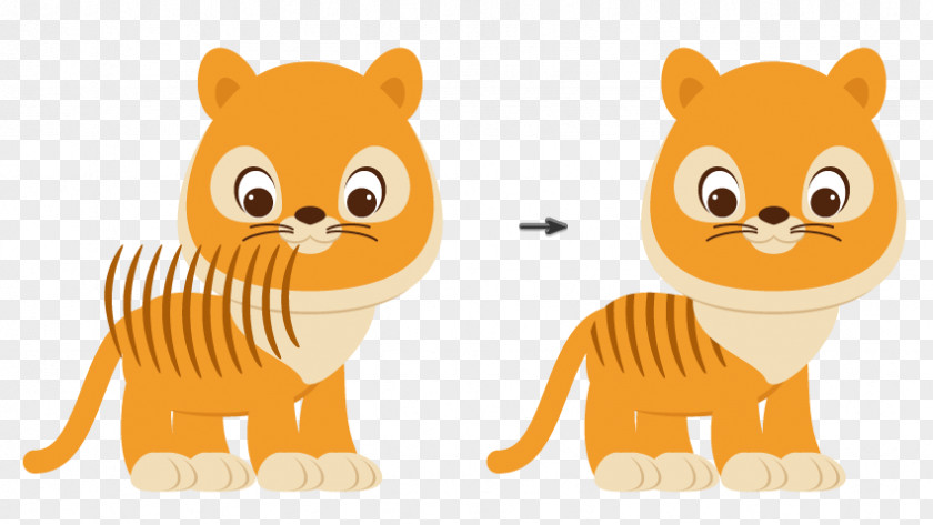 Tiger Illustration Cartoon Drawing Vector Graphics PNG