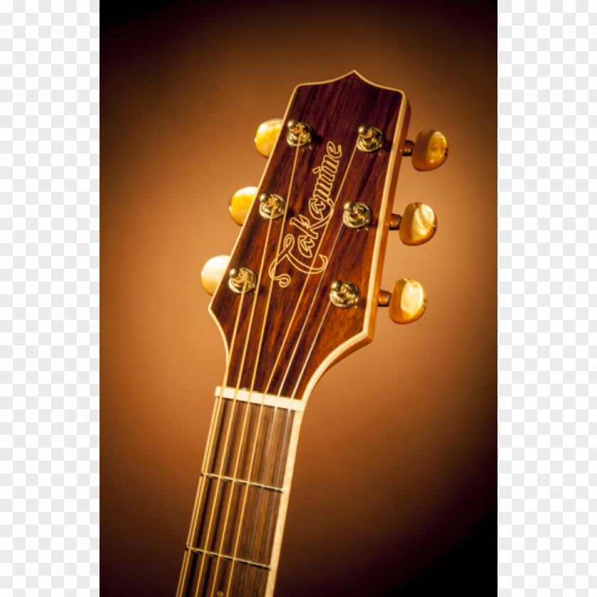 Tuba Bass Guitar Acoustic Acoustic-electric Takamine Guitars PNG